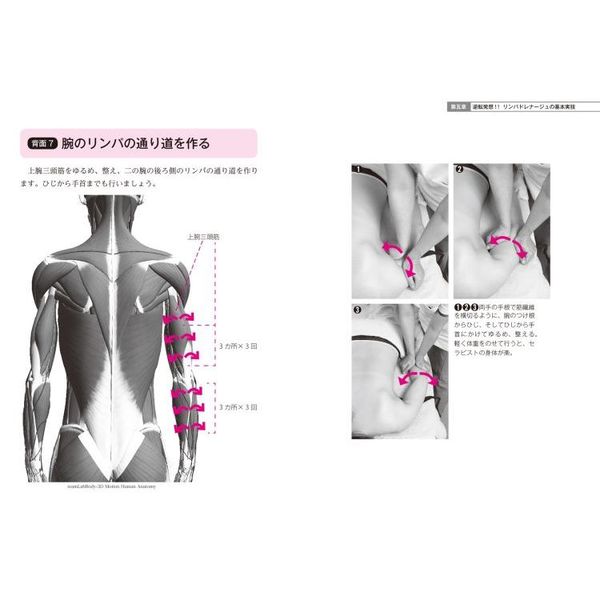 逆転発想から生まれたシン・リンパドレナージュ　超図解！「イメージング解剖生理学」　リンパは流れる！セルライトは消える！