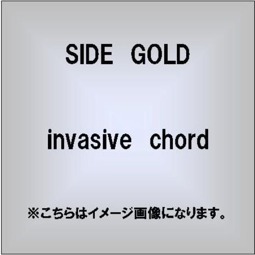 ֥ͥåȥåԥ󥰤㤨invasivechordפβǤʤ2,200ߤˤʤޤ