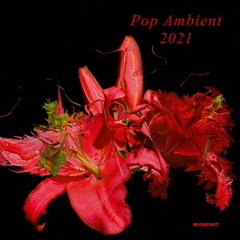 POP　AMBIENT　2021