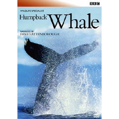 BBC ワイルドライフ・スペシャル II クジラ（ＤＶＤ）