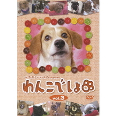 北海道文化放送 Presents 「わんこでしょ」 DVD vol.3（ＤＶＤ）