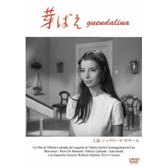 芽ばえ（ＤＶＤ）