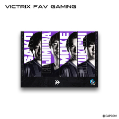 ストリートファイターリーグ: Pro-JP 2025 オリジナルメタルディスプレイ(Victrix FAV gaming)