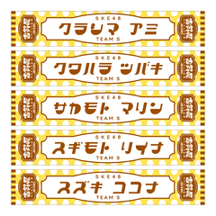 【SKE48】9杉本りいな SKE48真冬のTEAM歌謡祭　マフラータオル【チームS】