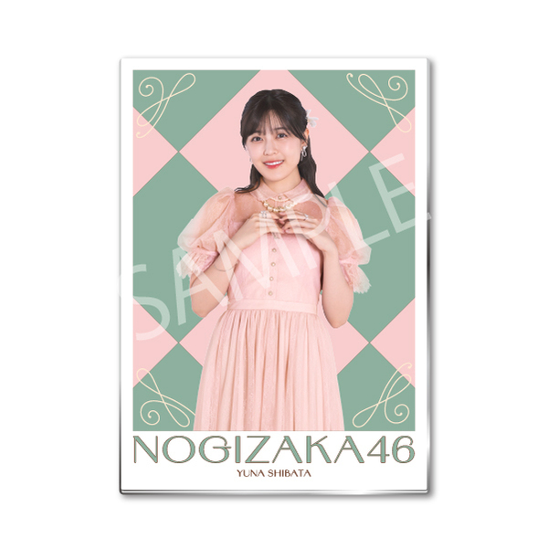 乃木坂46】メタルディスプレイ「柴田 柚菜」（セブンネット