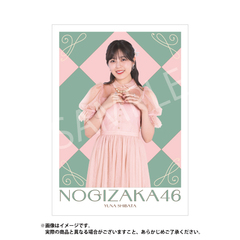 【乃木坂46】メタルディスプレイ「柴田 柚菜」（セブンネットショッピング限定）