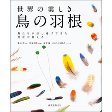 世界の美しき鳥の羽根：鳥たちが成し遂げてきた進化が見える