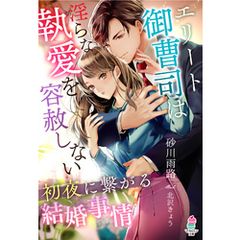 エリート御曹司は淫らな執愛を容赦しない～初夜に繋がる結婚事情～