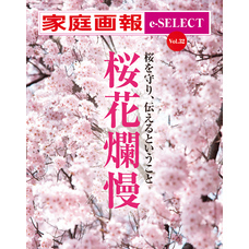 家庭画報 e-SELECT Vol.32 桜花爛漫