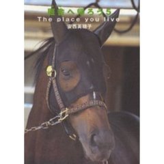 厩舎へ帰ろう　　　５