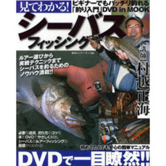 見てわかる！シーバスフィッシング