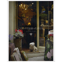 フランスで出会った犬たち