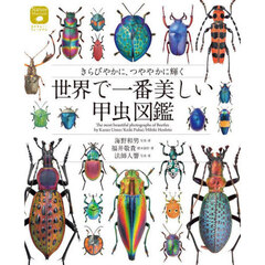 世界で一番美しい甲虫図鑑　きらびやかに、つややかに輝く