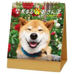 卓上 柴犬まるとおさんぽ　2026年カレンダー