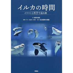 イルカの時間