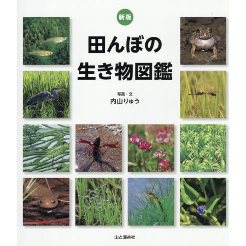 田んぼの生き物図鑑 新版 通販｜セブンネットショッピング
