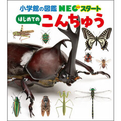 はじめてのこんちゅう