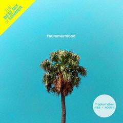 ＃summermood　－　The　Best　Mix　of　Tropical　Vibes　R＆B　×　HOUSE