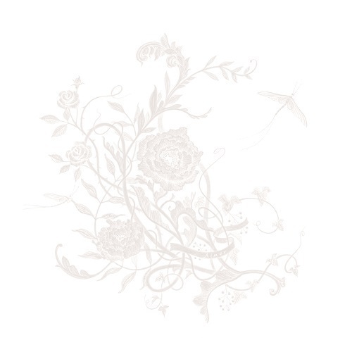 セブンネットショッピングで買える「Aimer/白色蜉蝣(通常盤/CD)」の画像です。価格は1,320円になります。