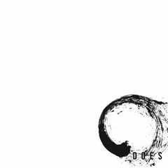 DOES／修羅（完全生産限定盤／LP）（アナログ盤）