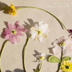 高木正勝／マージナリアVIII（アナログ盤）