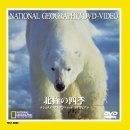 ナショナル・ジオグラフィック 北極の四季（ＤＶＤ）