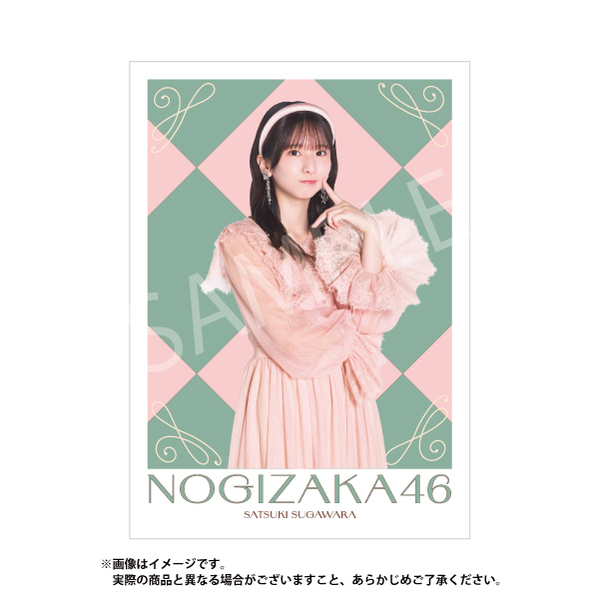 乃木坂46】メタルディスプレイ「菅原 咲月」（セブンネット