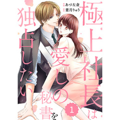 comic Berry’s極上社長は愛しの秘書を独占したい1巻
