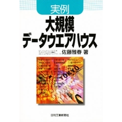 実例大規模データウエアハウス