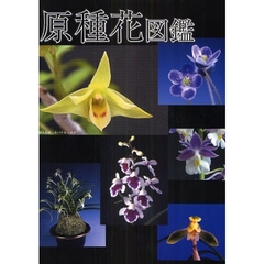 原種花図鑑