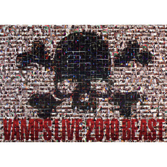 ＶＡＭＰＳ　ＬＩＶＥ　２０１０　ＢＥＡＳＴ