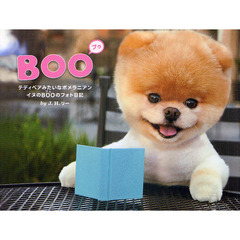 BOO　イヌのブゥのフォト日記