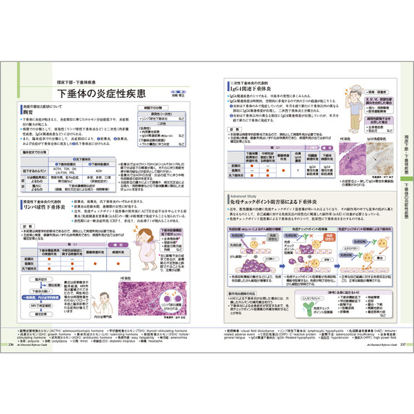 病気がみえる vol.3 糖尿病・代謝・内分泌 第3版 - 健康・医学