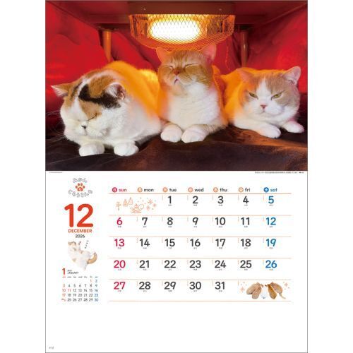 Man カレンダー　セット Amazon.co.jp: 【Amazon.co.jp 限定】ホットウィール アドベント