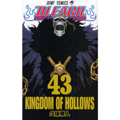 ＢＬＥＡＣＨ　４３　ＫＩＮＧＤＯＭ　ＯＦ　ＨＯＬＬＯＷＳ