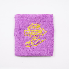 Mr.Children 30th Anniversary Tour／エントランスマン　リストバンド PURPLE