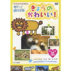 NHK DVD ダーウィンの動物大図鑑 はろ～！あにまる きょうのかわいい！ キュートな動物大集合 レッサーパンダ・ラッコ・プレーリードッグ（ＤＶＤ）