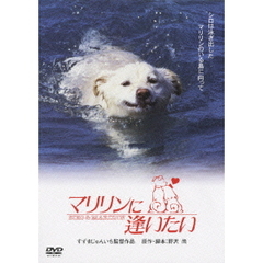 マリリンに逢いたい（ＤＶＤ）
