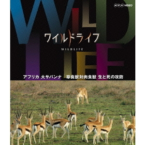 ワイルドライフ アフリカ大サバンナ 草食獣対肉食獣 生と死の攻防（Ｂｌｕ－ｒａｙ）