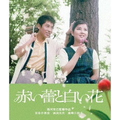 赤い蕾と白い花（Ｂｌｕ－ｒａｙ）