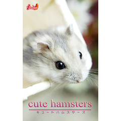 cute hamsters02 ジャンガリアンハムスター