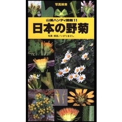 山溪ハンディ図鑑11　日本の野菊