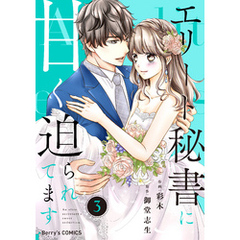 エリート秘書に甘く迫られてます3巻