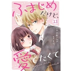 noicomiふまじめだけど、愛でたくて13巻