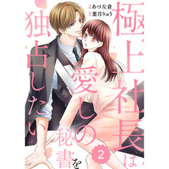comic Berry’s極上社長は愛しの秘書を独占したい2巻