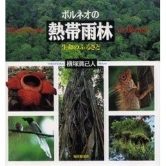 ボルネオの熱帯雨林　生命のふるさと
