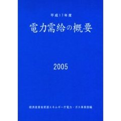 電力需給の概要　平成１７年度