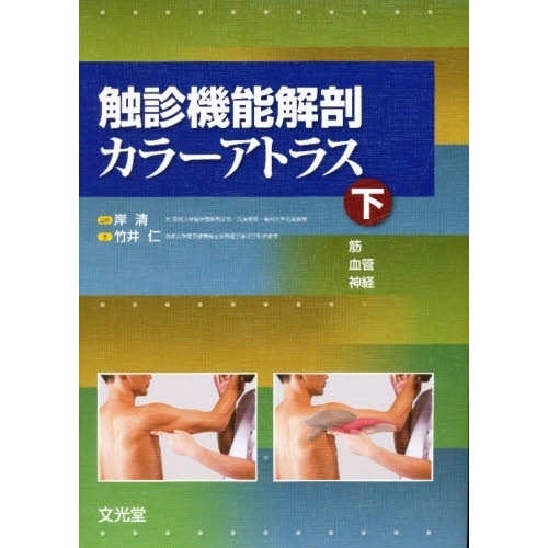 楽天市場 触診機能解剖カラーアトラス 下 筋・血管・神経 下 筋・血管 
