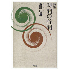 時間の谷間　詩集