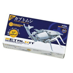 カブトムシ　増補改訂版